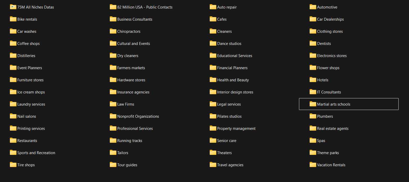 Digitlbox Leads Data Sample 1
